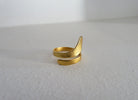 Rhea Ring